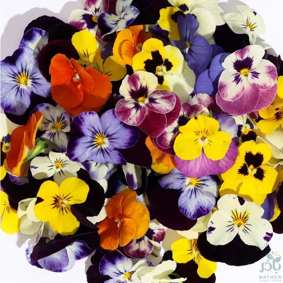 Dry Edible Flowers pack of 50pcs