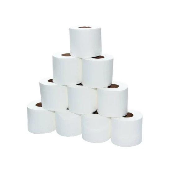 Soft n Cool Tissues Rolls 2 Ply | 300 Sheets x 100 Rolls