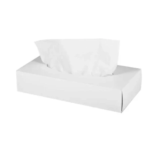 Facial Tissue 100 x 2 Ply Rectangular White Box 1 x 42