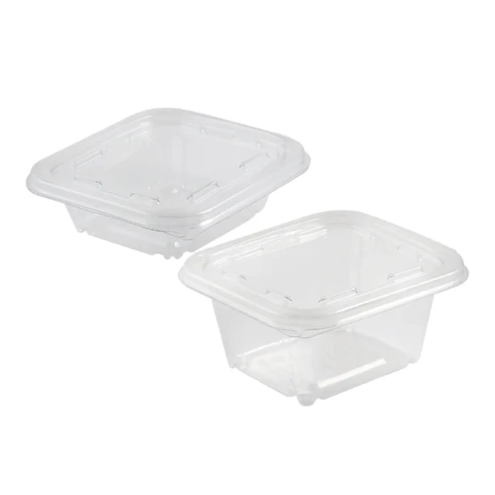 PET HINGED CONTAINER 8 OZ