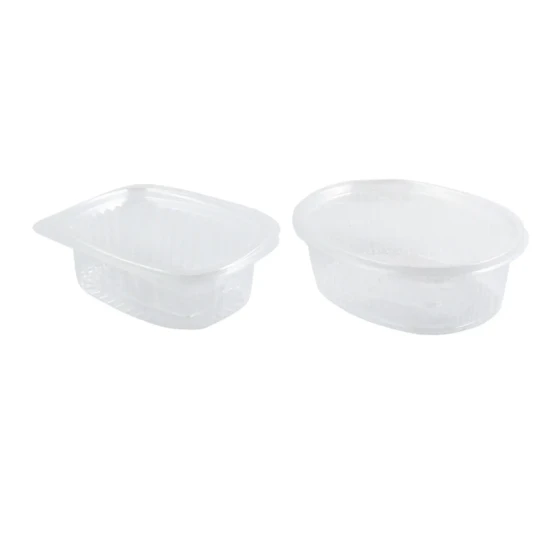 OVAL HINGED CONTAINER V510 (250 ML)