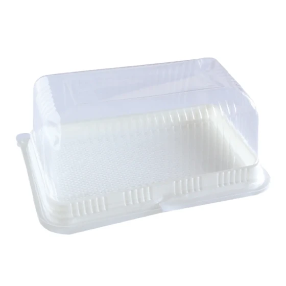 CLEAR RECT. CAKE CONT. B5002 W/LID
