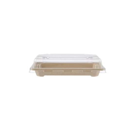 Bio-Degradable Sushi Container With Lid