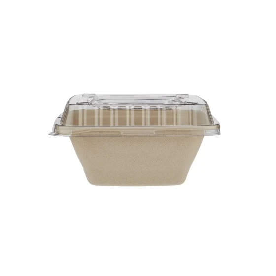 Eco-Friendly Square Container