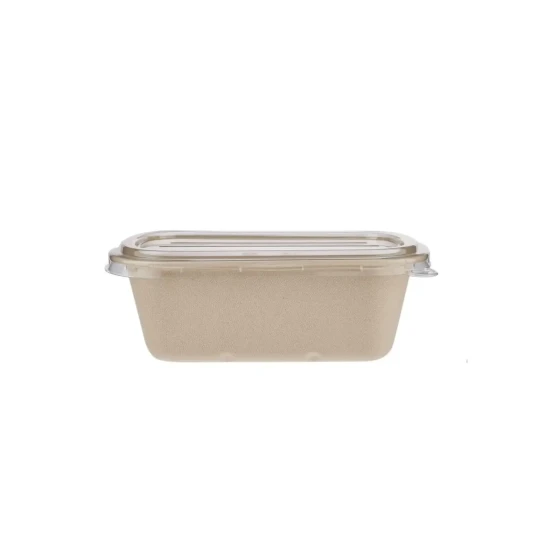 Bio-Degradable Rectangular Container