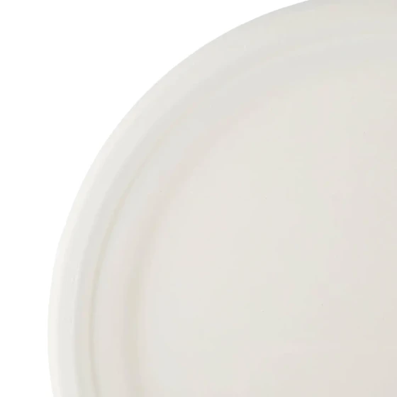 Bio-Degradable Plate 10 Inch 500 Pieces