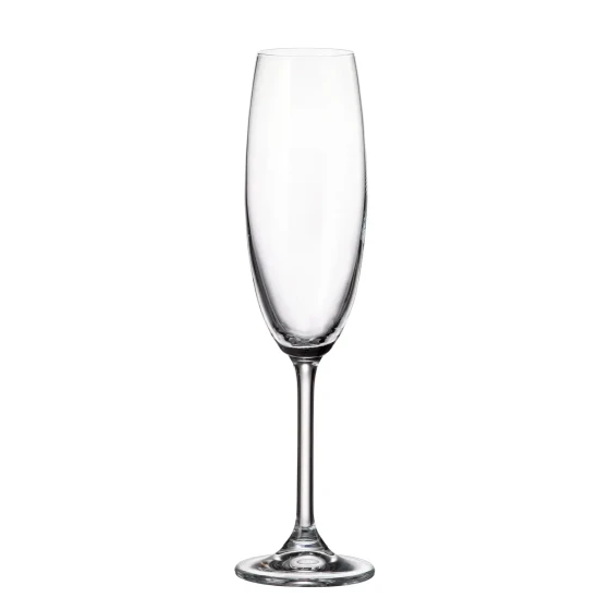 Flow CHampagne Flute 220 ml