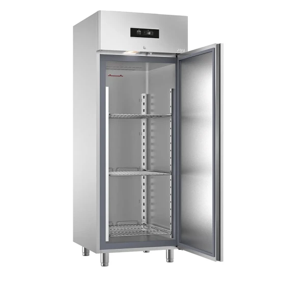 Sagi SS Single Door Freezer FD70BT