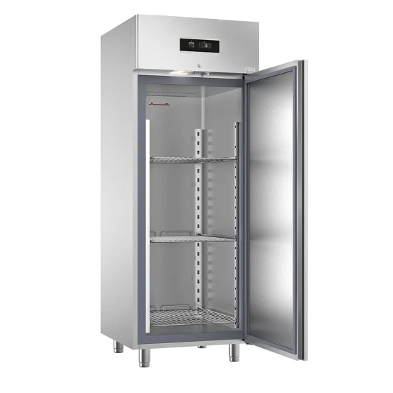 Sagi SS Single Door Chiller FD70T