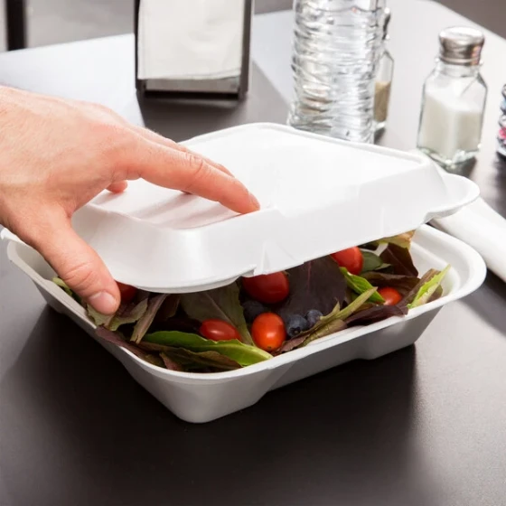 Genpak SN200-WHT 9 1/4" x 9 1/4" x 3" White 1 Compartment Foam Container with Snap-It Hinged Lid - 200/Case