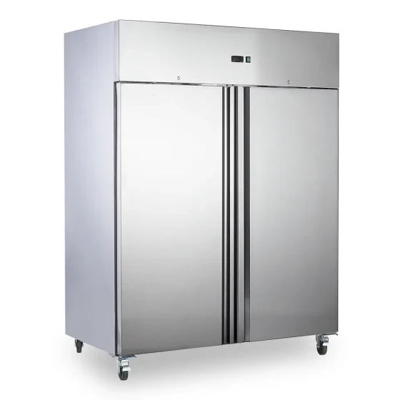 Medal Upright Freezer SS304 - 1173L, Double Door, -20°C, 5-Yr Warranty