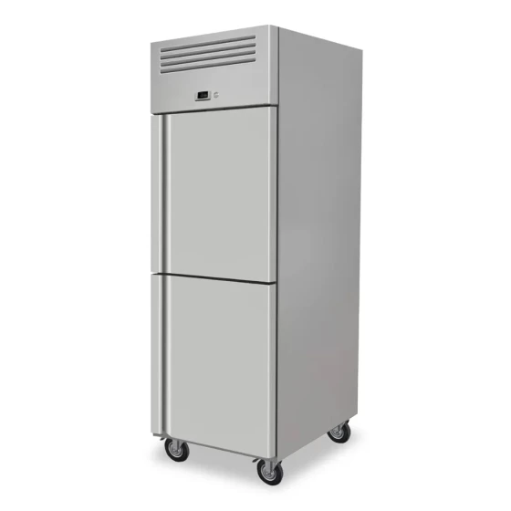 Polare, Freezer, 600 L, 2 Half Doors, Ventilated Cooling, Digital Control, 510 W