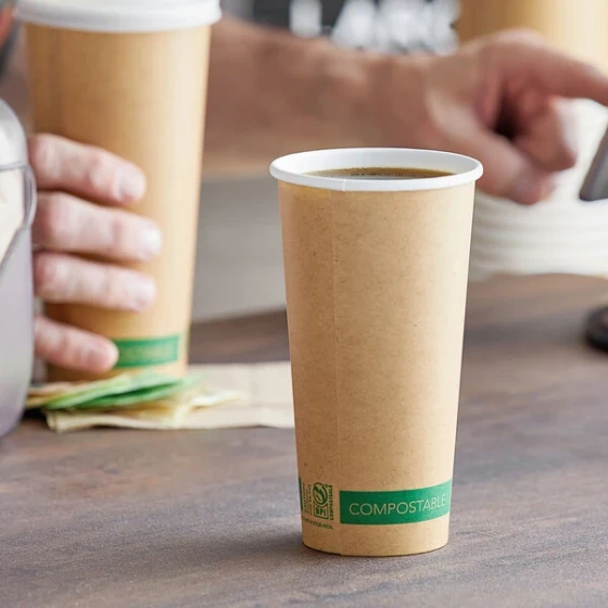 EcoChoice 20 oz. Kraft Compostable Paper Hot Cup - 50/Pack