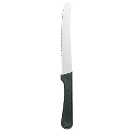 Walco from Steelite International WL790527 4 5/8" Stainless Steel Serrated Round Tip Steak Knife with Polypropylene Handle - 24/Case