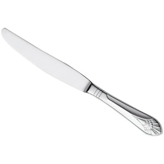 Libbey Metropolitan 9 5/8" 18/0 Stainless Steel Heavy Weight Hollow-Handle Dinner Knife - 36/Case