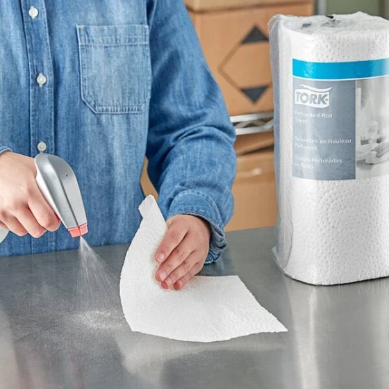 Tork Handi-Size Perforated 2-Ply Paper Towel Roll, 120 Sheets / Roll - 30/Case