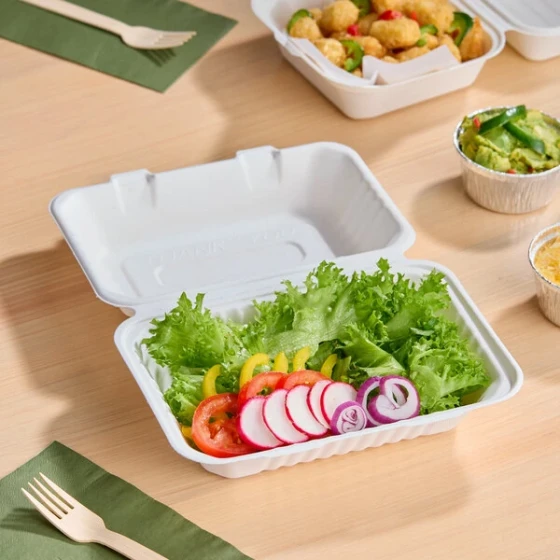 EcoChoice 9" x 6" x 3" Compostable White Plant Fiber 1 Compartment Take-Out Container - 50/Sample