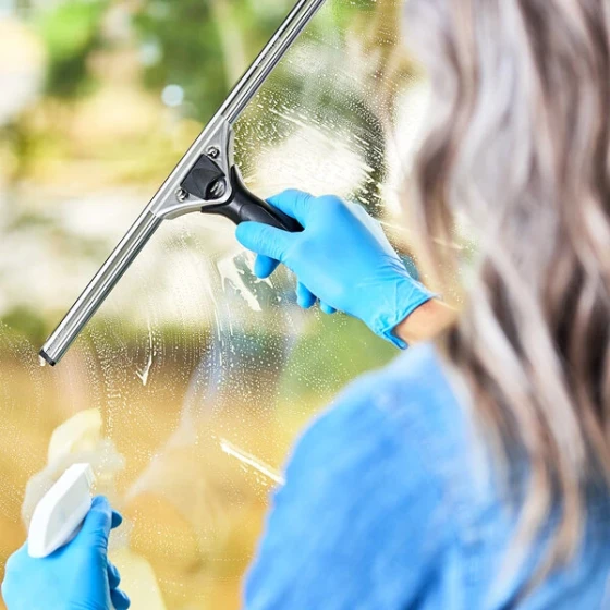 Ettore Pro+ 2016 16" Complete Squeegee