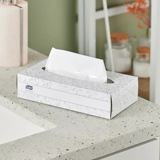 Tork Advanced 100 Sheet 2-Ply Facial Tissue Box F1 - 30/Case