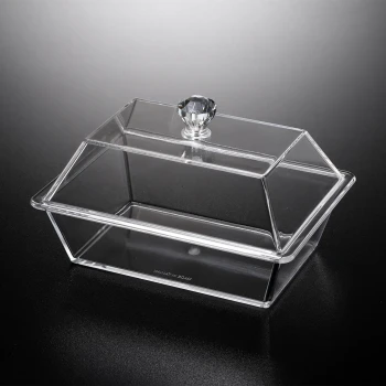 Vague Acrylic Rectangular Clear Serving Dish (18 x 13 cm)