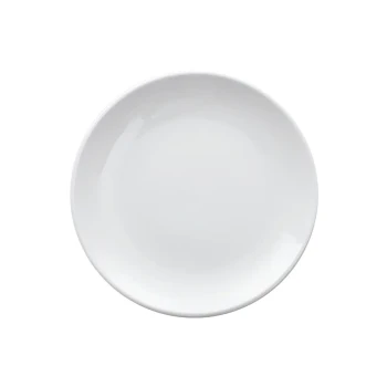 Porceletta Ivory Porcelain Rimmed Thick Plate