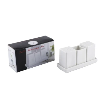 Porceletta Ivory Porcelain Square Salt & Pepper Shakers