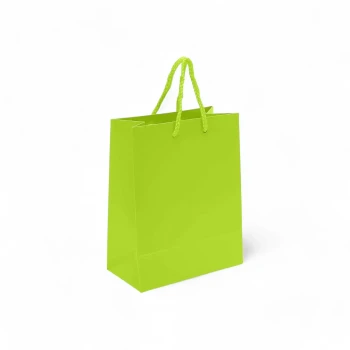 12pcs 23x18x10cm A5 Light Green Paper Bags, Gift Bags