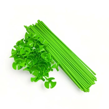 50-Pieces Green Balloon Sticks & Cups - Birthday Party Supplies