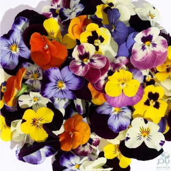 Dry Edible Flowers pack of 50pcs
