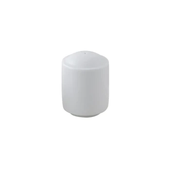 BR00071007 SALT SHAKER