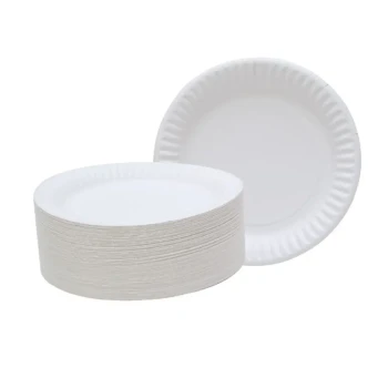 Paper Plate - Eco-Friendly Disposable Plates for Parties, Events & Catering