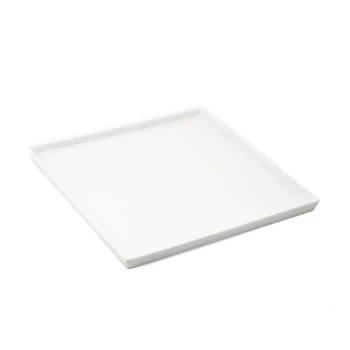 Ivory Porcelain Plate