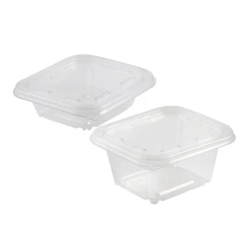 PET HINGED CONTAINER 8 OZ