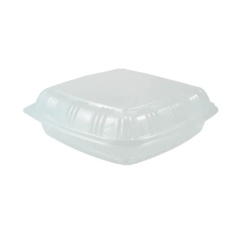 CLEAR RECT. HINGED CONTAINER KT-091