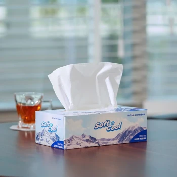 Soft n Cool Facial Tissue 150 Sheets x 2 Ply (6 Boxes)