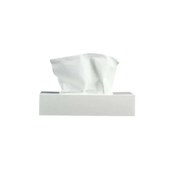 Snow White Tissue 2 Ply x 80 Sheets