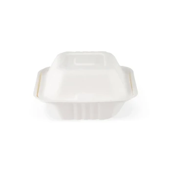 Bio Degradable Burger Box 6 inch 500 Pieces