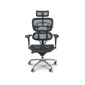 Ergonomic Chair