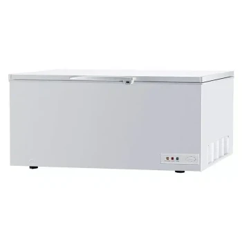 Commercial Chest Freezer