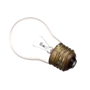 Blodgett 15637 Lamp, 40 Watt, 230-250V