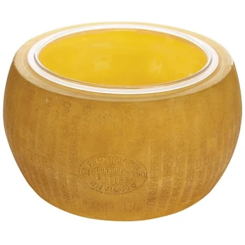 Boska 360049 Parmesan Reggiano Cheese Replica with Bowl