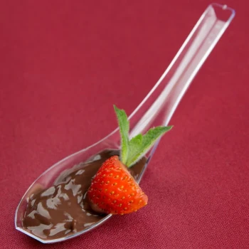 WNA Comet APTASIA2 Petites 5" Clear Asian Soup Spoon - 200/Case