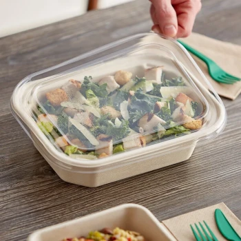 World Centric 10" x 7 1/2" Clear Compostable PLA Lid - 400/Case