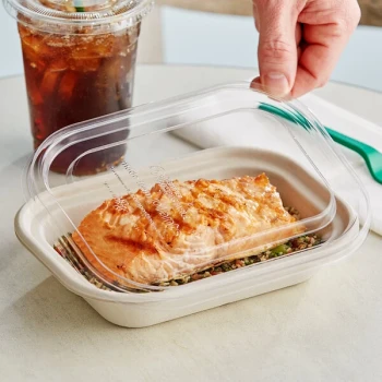 World Centric Clear Compostable PLA Lid for 8" x 6" fiber containers - 400/Case