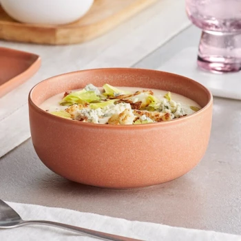 Acopa Pangea 16 oz. Terra Cotta Matte Porcelain Bowl - Sample
