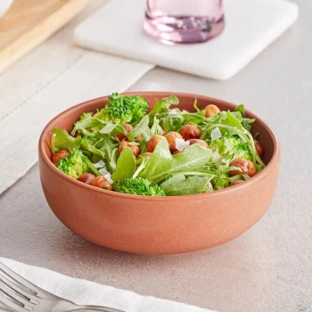 Acopa Pangea 10 oz. Terra Cotta Matte Porcelain Nappie Bowl - Sample