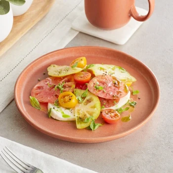 Acopa Pangea 9" Terra Cotta Matte Coupe Porcelain Plate - Sample