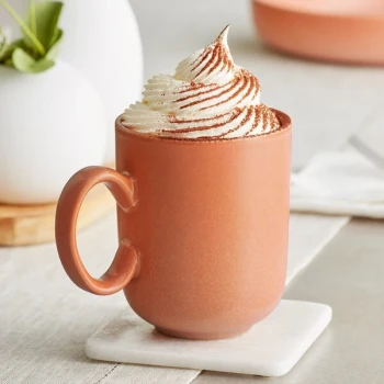 Acopa Pangea 12 oz. Terra Cotta Matte Porcelain Mug - Sample