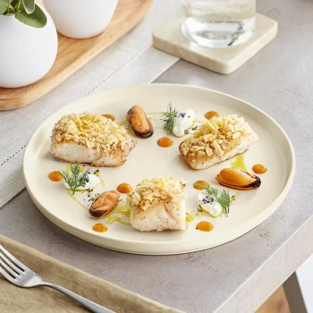 Acopa Pangea 10 1/2" Fog White Matte Coupe Porcelain Plate - Sample