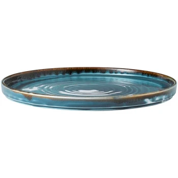Dudson Harvest 10 1/4" Blue Walled China Plate by Arc Cardinal - 6/Case